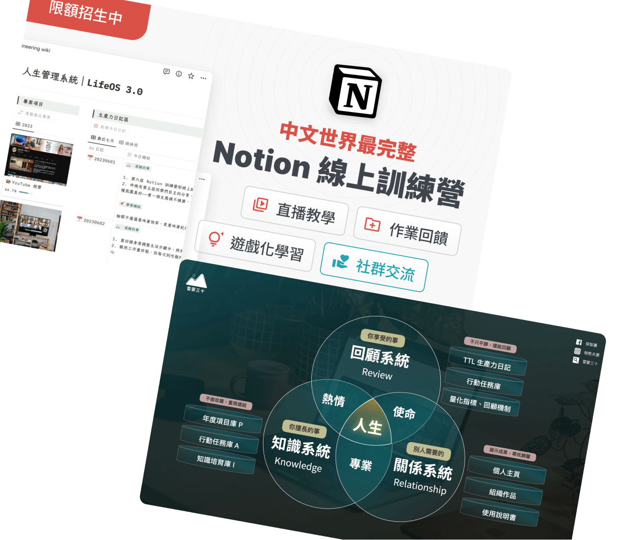 Notion 訓練營斜體 2